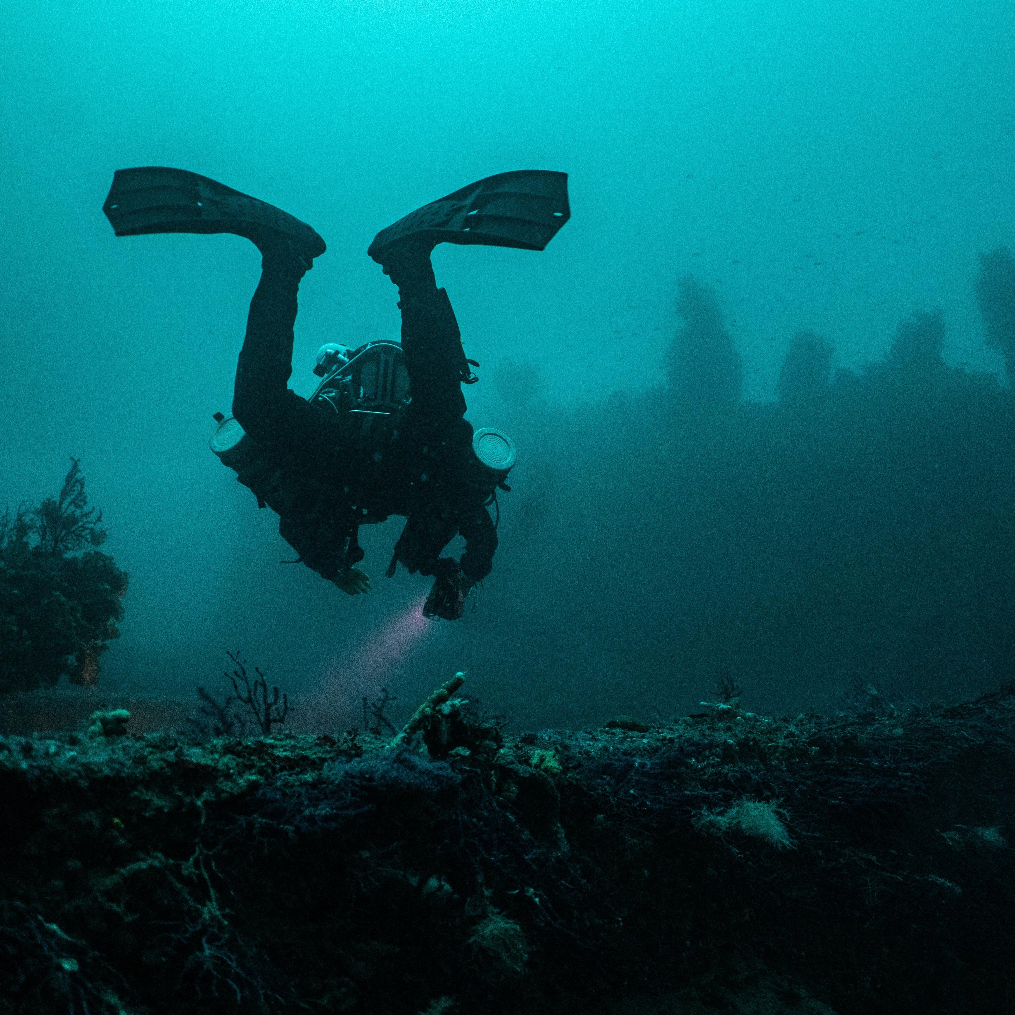 Original Recipe : Divers Edition