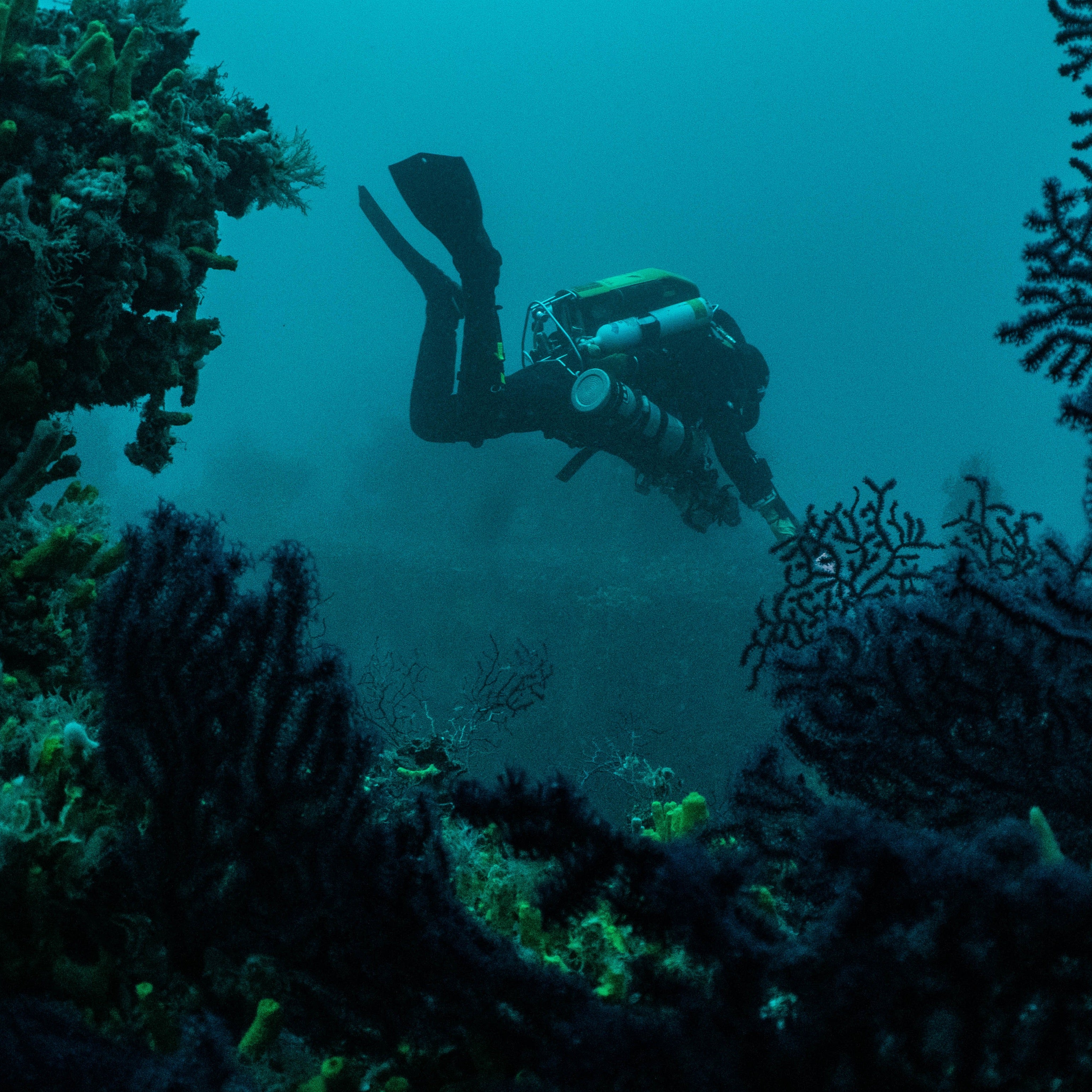 Original Recipe : Divers Edition